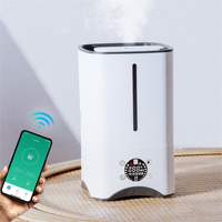Humidificateur d'air portable, diffuseur de brume froide, purificateur ultrasonique avec lumière romantique pour chambre à coucher et salon