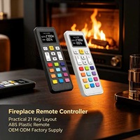 Control Remoto Inalámbrico RF de 21 Teclas Personalizado OEM ODM para Chimenea Eléctrica, Controlador de Calefactor Doméstico de Plástico ABS JCXK