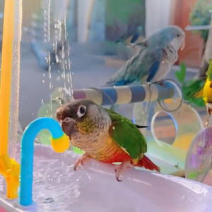 Bañera para Loros, Baño para Aves, Juguetes Eléctricos para Bañar, Suministros para Bañar, Suministros Premium para Aves, Ducha Automática de Ciclo - Product Image 2