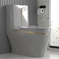 WC de luxe pour salle de bain, à poser au sol, couleurs, toilette monobloc