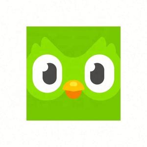 Cuenta Premium de Duolingo Pro, 1 Año, Aplicable Globalmente, Activa Tu Propia Cuenta - Product Image 4