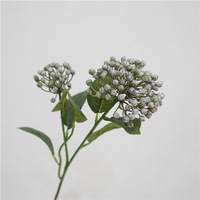 Kunstmatige realistische hortensia fruit verse decoratieve ornament Europese stijl bloemstuk woondecoratie fotografie rekwisiet