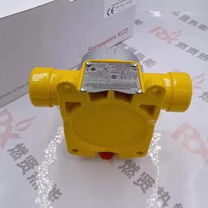 เซ็นเซอร์ตรวจจับก๊าซซัลไฟด์ Sensepoint XCD รุ่น SPXCDALMRX พร้อมส่ง - Product Image 3