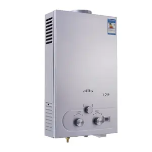 Stainless Steel 12L CNG Pemanas Air Panas Gas Propana Tankless Instan Boiler