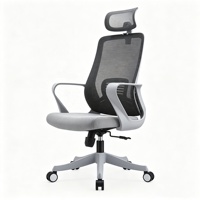 Chaise de bureau moderne en maille, chaise de conférence, chaise de bureau ergonomique à dossier moyen pour ordinateur et personnel
