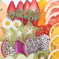 Echt Fruit Groente Plakjes Diy Kits Flatback Geperste Bloemen Fruit Specimen Epoxy Valentin 'S Day Kerst Easter Nieuwjaar