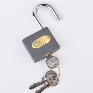 Rarlux-candado antirrobo de alta seguridad, 20, 25, 32, 38, 50, 63 y 75mm, 3 Llaves de acero, cilindro de latón completo, hierro gris - Product Image 3