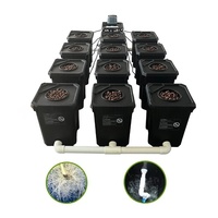 Kit de culture hydroponique avec 12 seaux en plastique PP noir, système de culture hydroponique pour serre et jardin à domicile