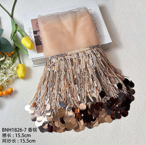 Nouvelle idée 2025, dentelle à sequins de 15 cm, franges en maille multicolores, robe de mariée sexy, dentelle décorative à franges - Product Image 2