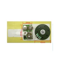 Puce d'enregistrement audio personnalisée pour carte de vœux
