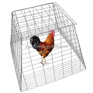 Jaula Grande Galvanizada para Gallos de Pelea y Cría - Product Image 3