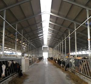 Establo Prefabricado para Vacas Lecheras a Bajo <span class=keywords><strong>Precio</strong></span>, Construcción de Granjas para Ganado - Product Image 4