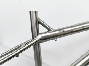 Cadre de VTT en alliage de titane sur mesure pour pneu 29 pouces et type de frein à disque Cruisers avec décrochage UDH pour VTT - Product Image 4