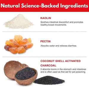 Pâte détoxifiante au <span class=keywords><strong>charbon</strong></span> <span class=keywords><strong>actif</strong></span> OEM pour chiens – Soutien immunitaire et digestif, digestion sensible, sans céréales, biologique, toutes étapes de vie - Product Image 3