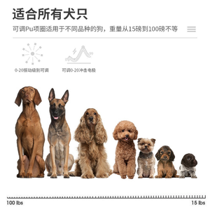 Dispositivo inteligente totalmente automático para dejar de ladrar con descarga eléctrica, collar para dejar de ladrar para perros, collar antiladridos para perros - Product Image 6