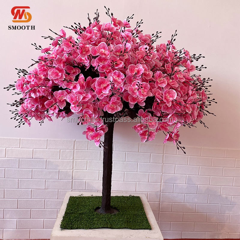 สีชมพูยอดนิยม