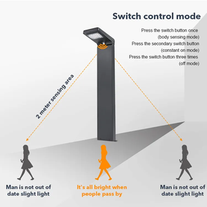 60CM 80CM 100CM moderno a energia <span class=keywords><strong>solare</strong></span> luci del paesaggio all'aperto luci Spot Led dissuasore <span class=keywords><strong>solare</strong></span> da giardino - Product Image 3