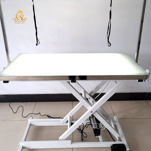 Mesa <span class=keywords><strong>de</strong></span> Peluquería Veterinaria Eléctrica con Luz LED EUR PET para Mascotas, Mesa <span class=keywords><strong>de</strong></span> Peluquería para Perros con Funciones <span class=keywords><strong>de</strong></span> Limpieza para Herramientas <span class=keywords><strong>de</strong></span> Peluquería <span class=keywords><strong>de</strong></span> Mascotas - Product Image 6
