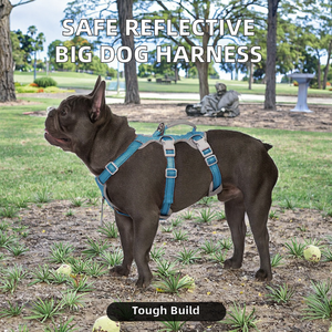 สายรัดสัตว์เลี้ยงไนลอนที่สะดวกสบายและปลอดภัย สายจูงสุนัขขนาดใหญ่พร้อมเชือกสะท้อนแสงและป้องกันการแตกหัก สำหรับการเดินทางอย่างมีสไตล์ - Product Image 2