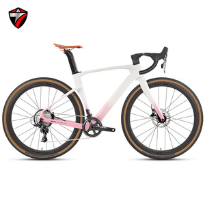 Venta al por mayor de fábrica: Bicicleta de carretera Gravel V3 700C RS de 24 velocidades con freno de disco hidráulico y fibra de carbono (25 años) (RS-24S, freno de disco, rueda) - Product Image 5