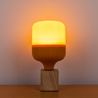 Hoge Kwaliteit Muggenmoordenaar Lamp E26 E27 B22 E12 E14 Muggenwerend Licht Anti Insect Energiebesparing Led Gloeilamp