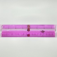 Fabricant professionnel Règle remplie d'huile 15 cm Fidget Toy Inside Sensory Ruler Liquid Motion Ruler pour l'école et le bureau