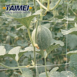 8gsm nhựa HDPE lưới nhà máy Rau Trái Cây leo hỗ trợ nhà máy lưới cho nhà kính - Product Image 5