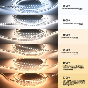 <span class=keywords><strong>Bande</strong></span> <span class=keywords><strong>LED</strong></span> pleine couleur 120 <span class=keywords><strong>LED</strong></span>/m RGB adressable et flexible pour enseignes lumineuses DIY - Product Image 2