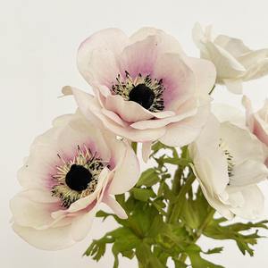 J-054 de anémona artificial de alta calidad, flores decorativas para boda, Hotel, florero para el hogar - Product Image 3