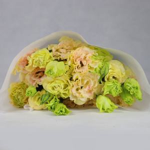 Unnan-flores frescas de corte al por mayor Eustoma, floristería al por menor, para Arreglo de floreros, decoración de boda - Product Image 3