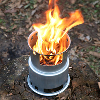 Poêle à bois portable en acier inoxydable, mini poêle à bois de camping avec structure divisée pour le camping en plein air, les pique-niques et le chauffage