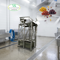 Ligne complète de lavage des raisins et des prunes avec composants moteur essentiels, garantie 1 an