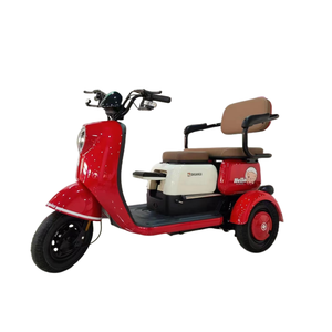 Triciclo eléctrico cerrado de 800/1000W Vehículo de pasajeros cerrado de tres ruedas con kilometraje de conducción de 30km Certificado EEC/DOT/GCC - Product Image 2