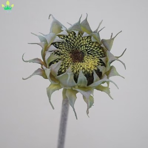 Tige unique de fleur artificielle de tournesol pour la décoration de la maison, des mariages, des tables, des vases et des fêtes du Nouvel An chinois - Product Image 6