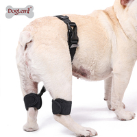 Attelle de Genou Articulée Flexible pour Chien : Soulagement des Entorses du Ligament Rotulien et du Ligament de Stifle – Accessoire pour Animaux de Compagnie