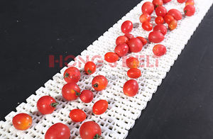 Hongsbet fırın sanayi ucuz fiyat gıda fabrikası plastik konveyör bant - Product Image 6