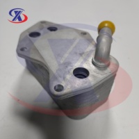 Enfriador de Aceite de Motor para VWs Jettas Beetles 2.5 07K117021B 07K117021C