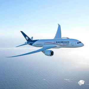 Servicio de Transporte Aéreo y Terrestre Express, Top 10 en el Mundo en Transporte de Mercancías, Despacho de Aduanas, Manejo de Mercancías Peligrosas, 24/7 - Product Image 5