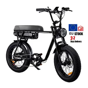 20 Inch Middle Drive Full Suspension E Bike Fashion Mountain Electric Bicycle With Down Tube Lithium Battery