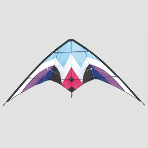 Aquilone Acrobatico a Doppia Linea per Adulti |   Kite Sportivo ad Alte Prestazioni, 360 °   Rotazione e Lancio Facile |   Vendita all'ingrosso direttamente dalla fabbrica - Product Image 1
