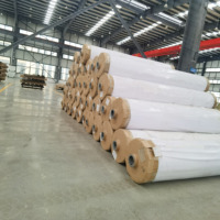 Bâche en plastique transparent bâche en PVC bâche en vinyle transparente 100% tissu en maille de polyester bâche en PVC transparente rouleaux de PVC transparents