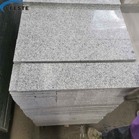 Dalles de granit gris G603, plan de travail, escaliers, promotion, prix réduit