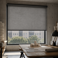 Stores à enroulement modernes et unis en tissu personnalisé avec cordon de tirage manuel, protection UV et filtration de la lumière pour chambre et cuisine