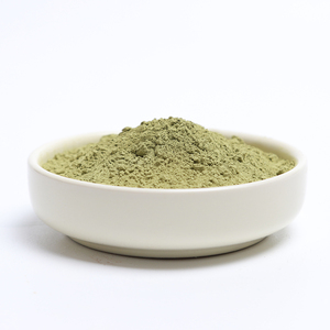 Poudre de lentilles d'eau Wofflia Globosa Poudre de lentilles d'eau lyophilisée Poudre de lentilles d'eau commune - Product Image 1