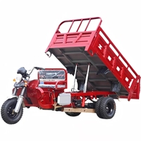 Tricycle de transport à essence refroidi par eau, directement de l'usine, moto-tricycle personnalisé, camion à benne basculante, accessoires en option