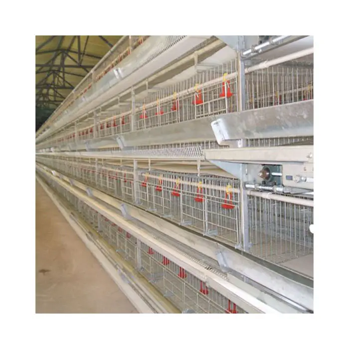 Equipo de granja de aves de corral, jaula de 4 niveles de Material galvanizado, tipo H