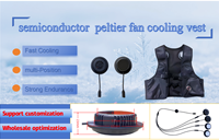 Gilet Refrigerante Peltier Direttamente dalla Fabbrica, Condizionatore d'Aria Indossabile con Tecnologia di Raffreddamento a Semiconduttore per Lavoratori all'Aperto