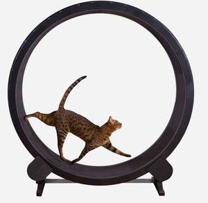 Benzersiz tasarım düşük gürültü firma baz kedi koşu tekerlek kedi koşu bandı oyuncaklar - Product Image 1