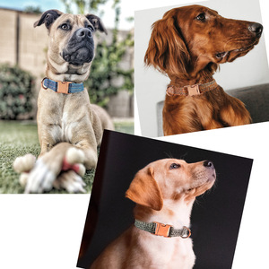 Guinzaglio in nylon imbottito per cani, con collare anti-smarrimento e decorazioni a nastro, personalizzabile, a sgancio rapido, per tutte le stagioni - Product Image 4
