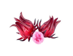 Sıcak satış ebegümeci çiçek özü tozu ebegümeci çiçek özü - Product Image 4